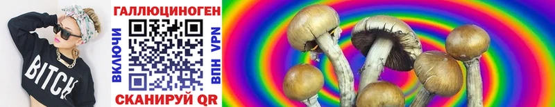 hydra ссылки  где купить наркоту  Маркс  Галлюциногенные грибы Psilocybine cubensis 