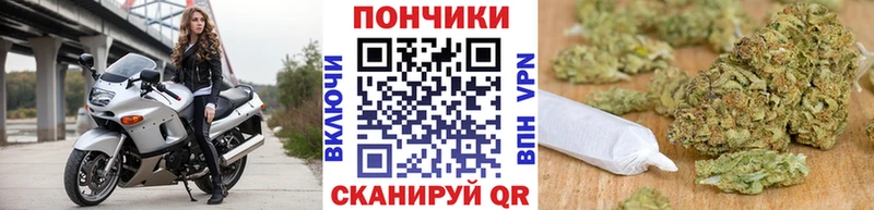 Шишки марихуана OG Kush Маркс